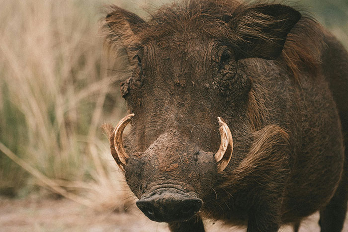 40 Dads That Won Over The Internet By Being Absolutely Epic