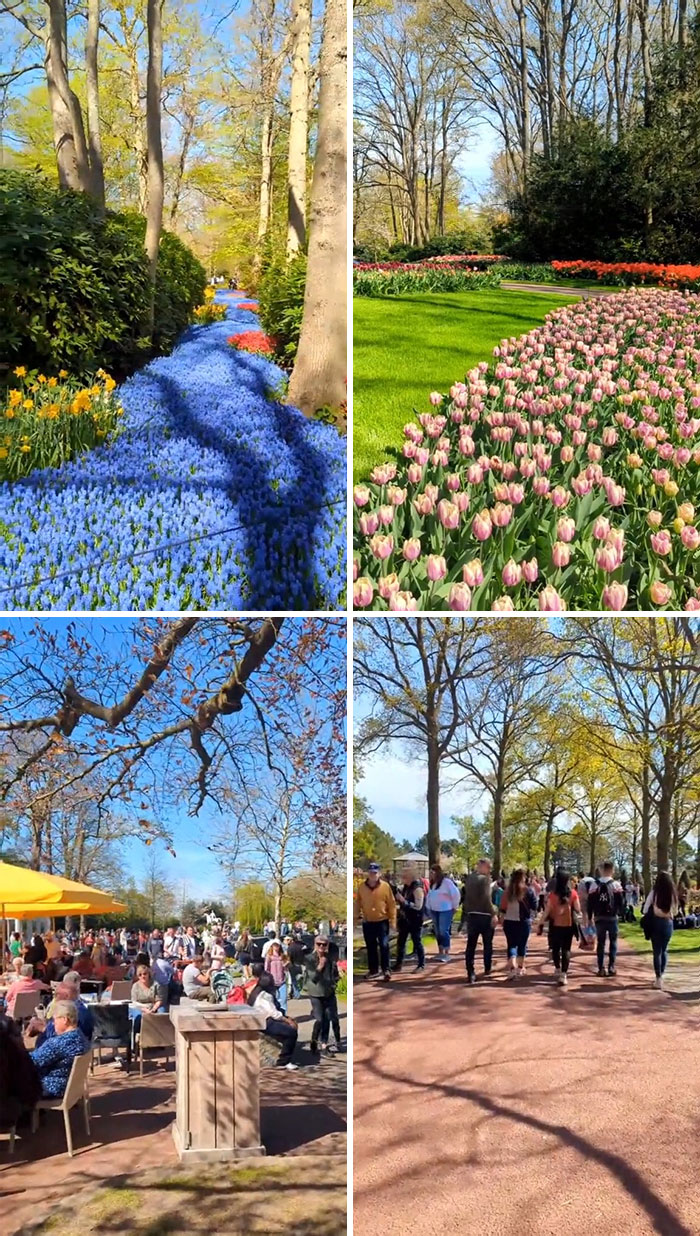 Keukenhof