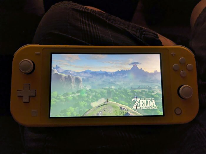 Due To A Family Emergency Back In August Of 2017, I Had To Sell My Switch And Never Had The Chance To Beat BOTW. Wife Bought Me It For Father's Day, My Adventure Begins Once Again