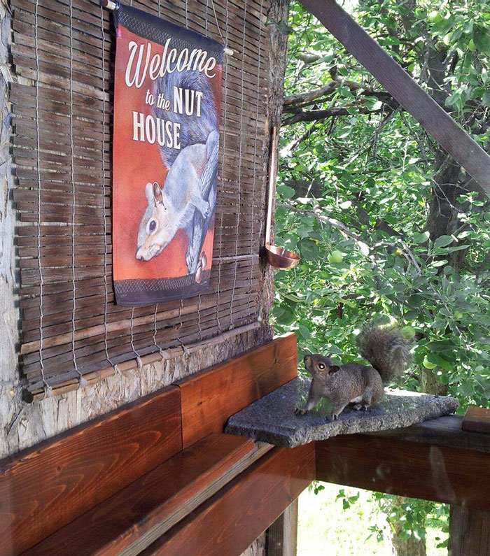 My Dad Always Feeds The Squirrels Outside Of His House. I Got Him This Sign For Father's Day. He Hung It Up And Sent Me This Picture