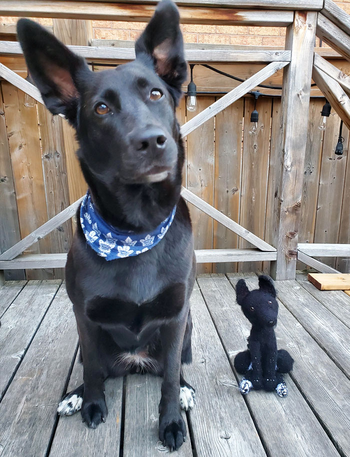 I Made This Fuzzy Friend For My Boyfriend's First Father's Day  