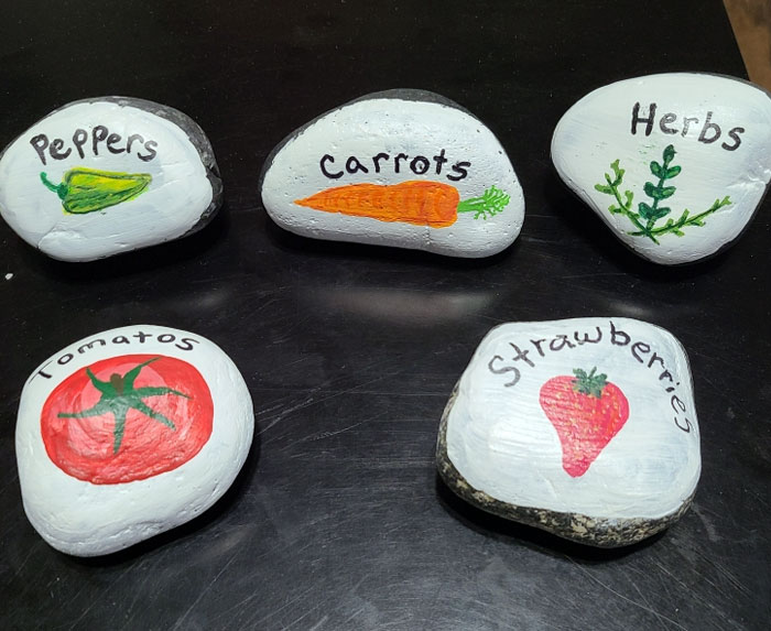 My Mother-In-Law Made Me These Plant Marker Rocks For Father's Day. I Love Them  