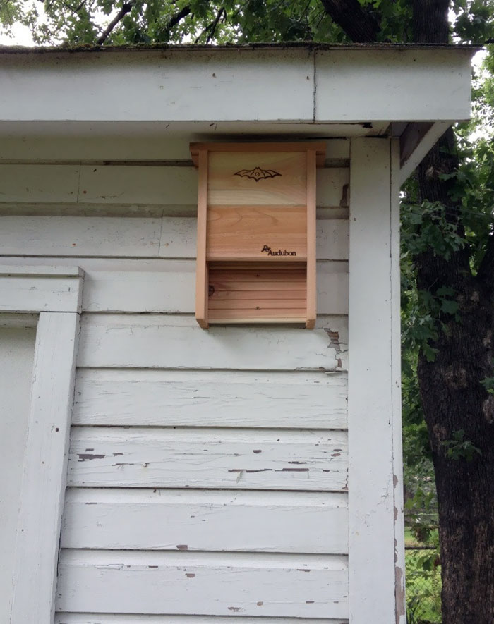 My Father's Day Present: A Bat House. One Bat Can Eat 500-1000 Mosquitoes Per Hour