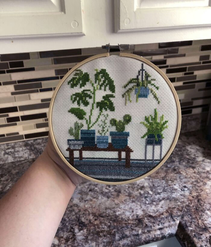 A Father’s Day Gift For My Plant-Obsessed Stepfather