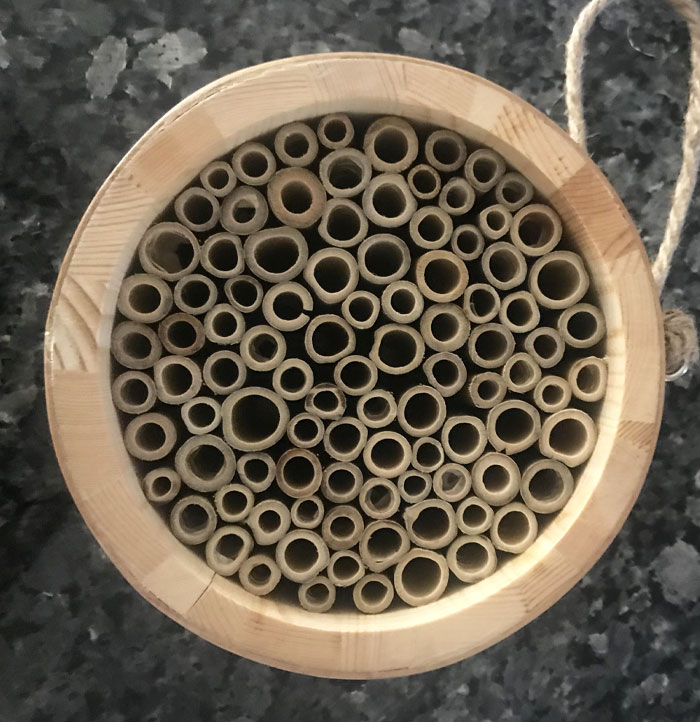 My Son And Wife Got Me A Bee House For Father's Day