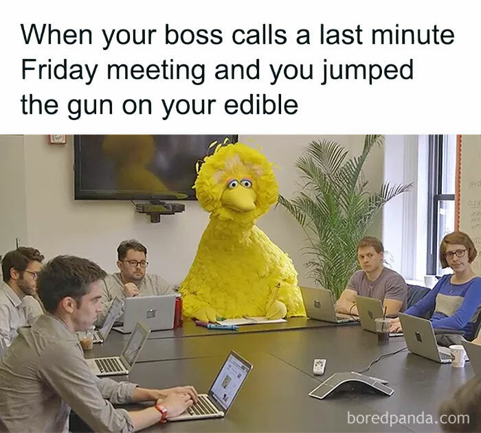 Happy Friday meme showing a person in a Big Bird costume at a serious office meeting.