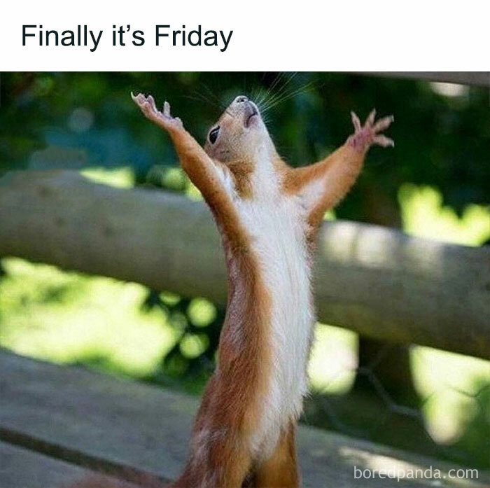 Squirrel with arms raised in joy, captioned "Finally it's Friday," embodying happy Friday vibes.