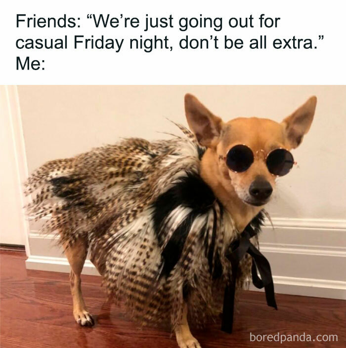 Happy Friday meme with a dog wearing sunglasses and a feathered outfit, ready for a night out.