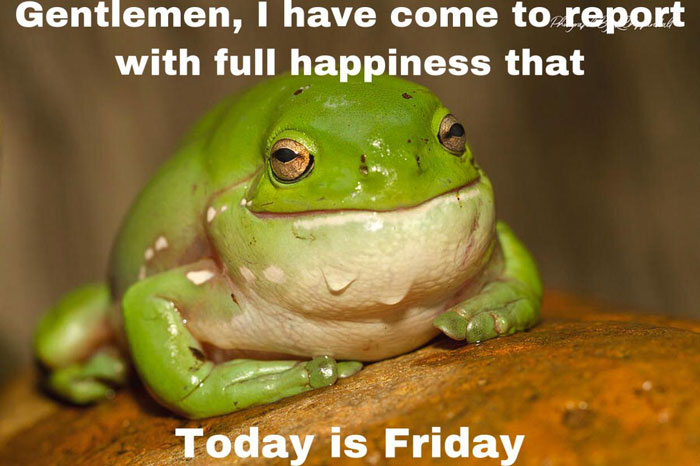 Green frog meme with text celebrating Friday, showcasing happiness for the weekend.