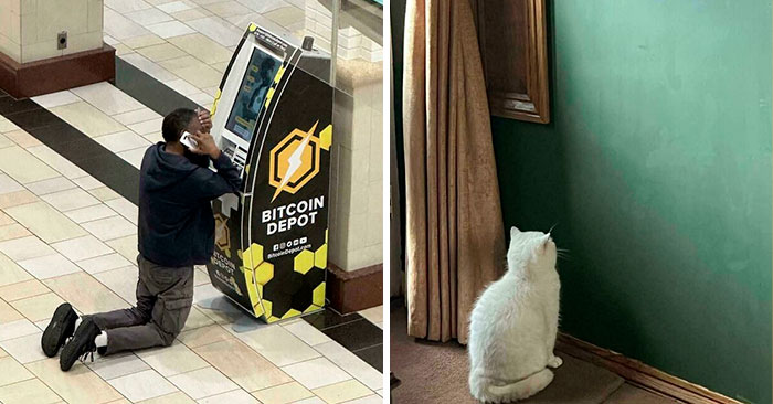 50 Photos That Unintentionally Resemble “Accidental Renaissance” (New Pics)