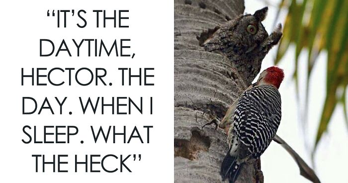 ‘Animals With Vibing Auras’: 50 Hilarious Pics Of Creatures Doing Random Things