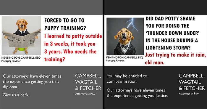 A Series Of Parody Ads For All The Dogs Seeking Attorney Services By Kensington Campbell (26 New Pics)