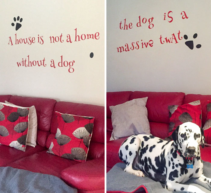 My Girlfriend Creatively Rearranged Her Parents' Wall Quote After The Dog Destroyed Her Shoes