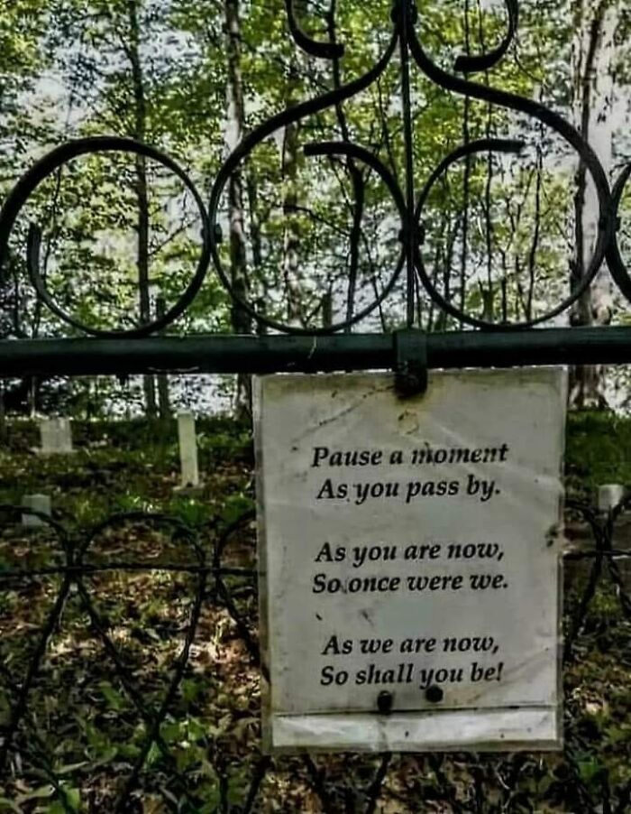 50 Hilarious New Pics In The “Give Me A Sign” Facebook Group’s Collection