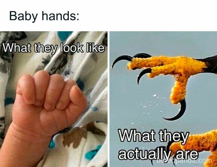 Funny-Newborn-Parents-Memes
