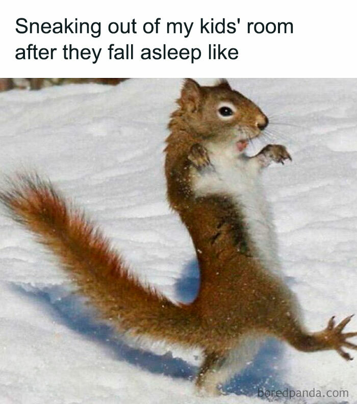 Funny-Newborn-Parents-Memes