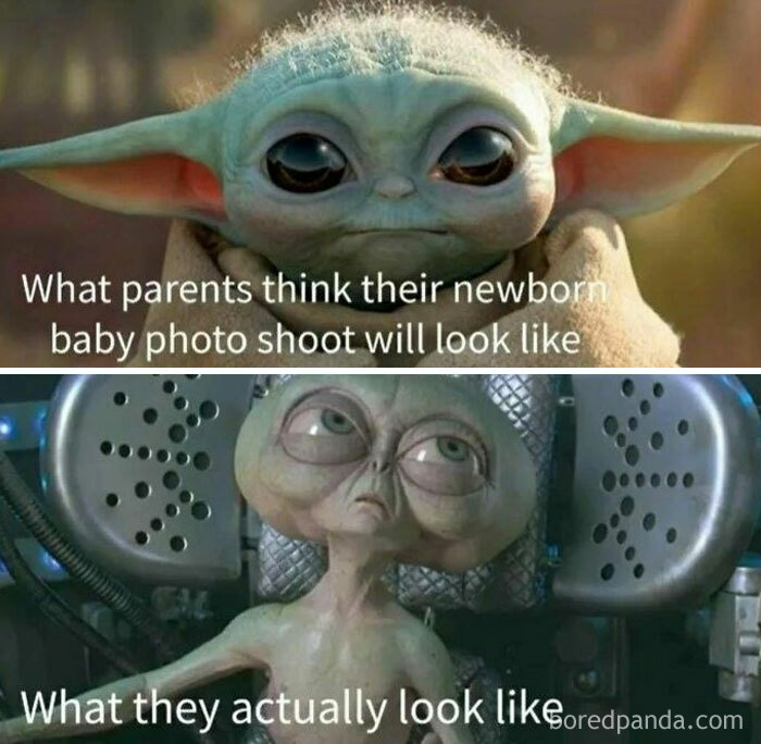 Your Baby Is Ugly