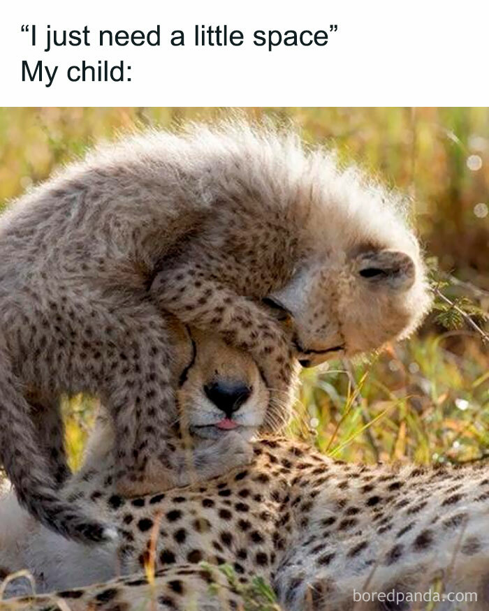 Funny-Newborn-Parents-Memes