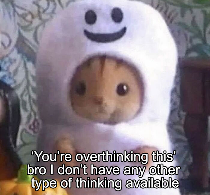 Funny-Nonsense-Pics-Memes-Emotionalclub