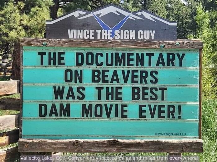 Funny-Unappreciated-Puns