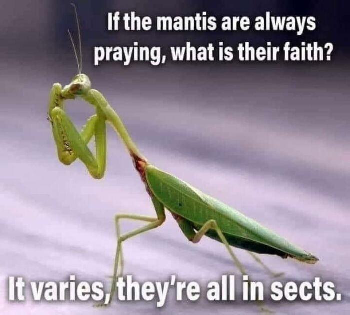 Funny-Unappreciated-Puns