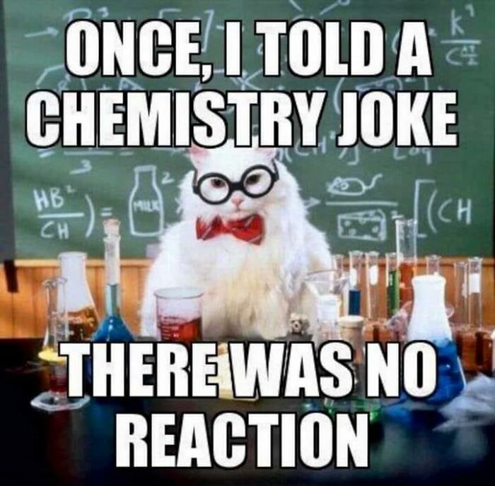 Funny-Unappreciated-Puns