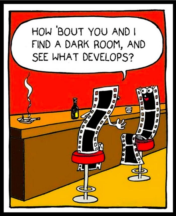 Funny-Unappreciated-Puns