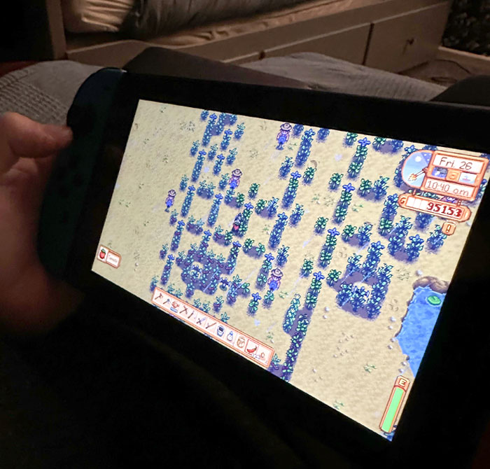 This Is How My Wife Lays Out Her Crops. Grounds For Divorce?