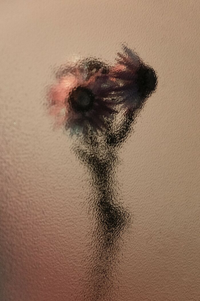 My 11 Photos Capturing The Essence Of Stillness