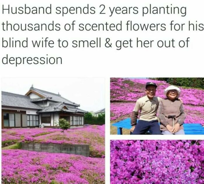 Heartwarming-Wholesome-Meets-The-Internet-Posts