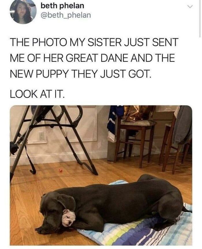 Heartwarming-Wholesome-Meets-The-Internet-Posts