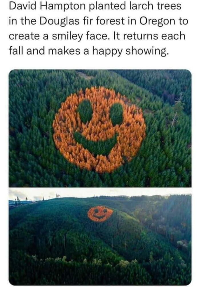 Heartwarming-Wholesome-Meets-The-Internet-Posts