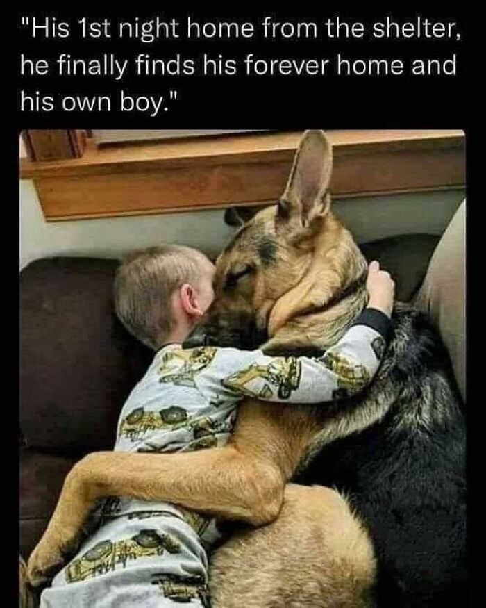 Heartwarming-Wholesome-Meets-The-Internet-Posts