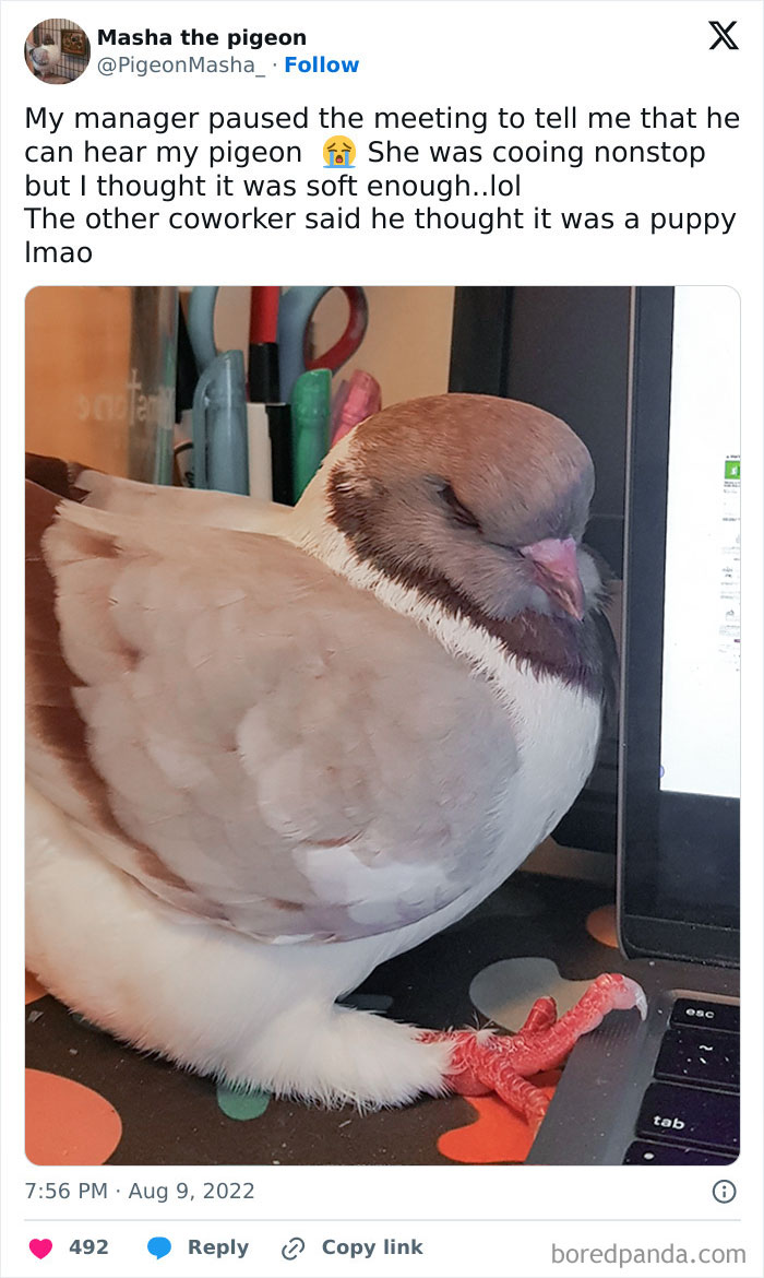 I Love Her Fluffy Legs