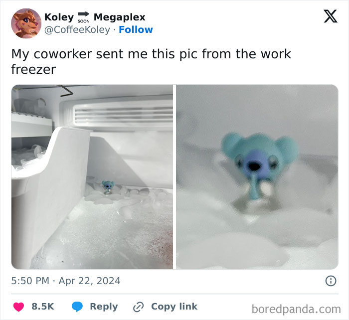 He's Comfy, Leave Him Be