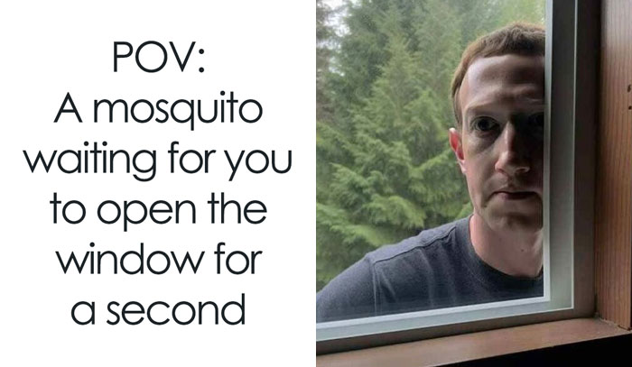 50 Hilarious Memes To Brighten Up Your Day