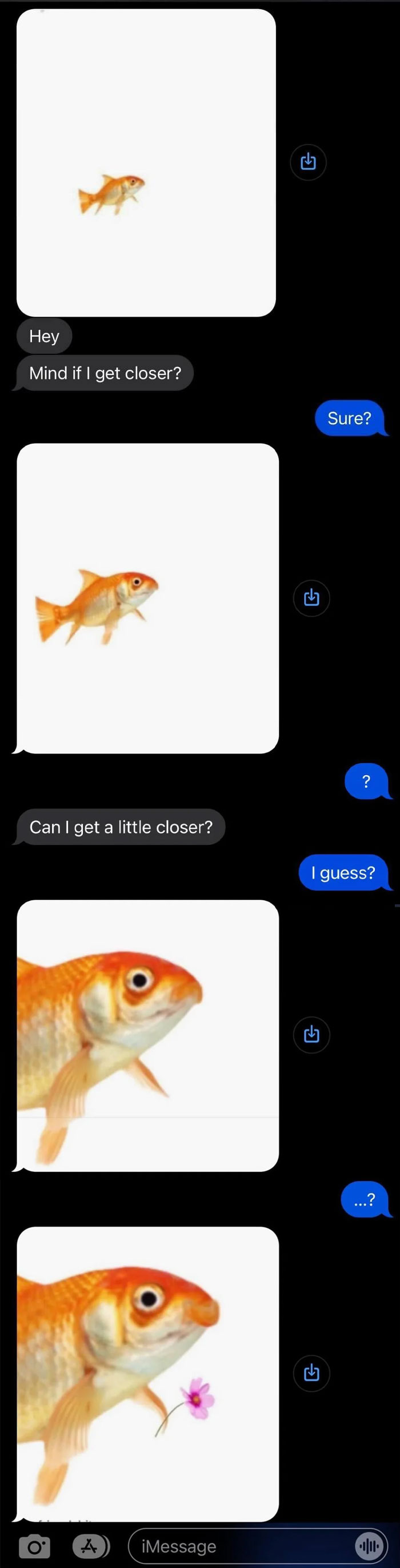 Random Texts From My Husband