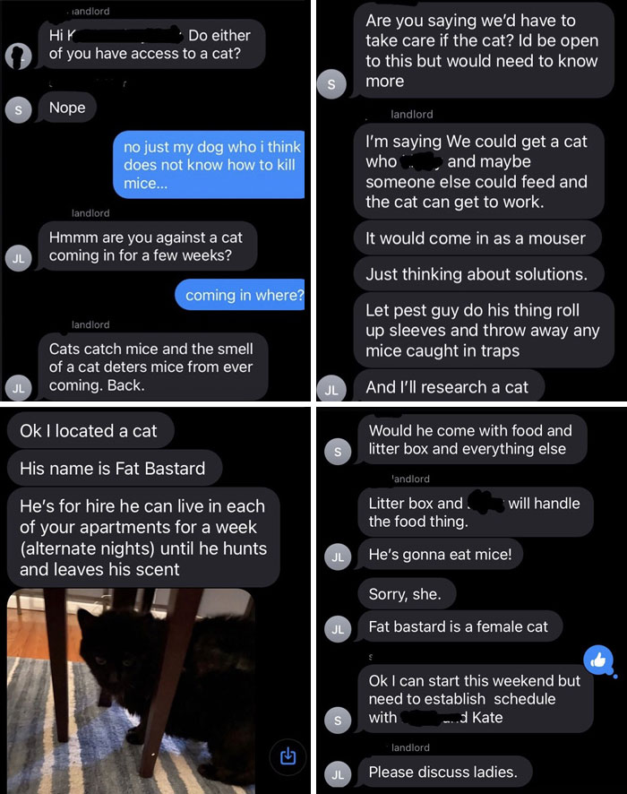 So My Neighbor And I Both Had Mouse Sightings This Week. Here’s How Our Landlord Responded