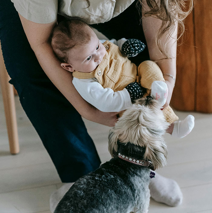  &ldquo;Over 90 Missed Calls&rdquo;: Woman Kicks Husband And MIL Out After They Brought A Dog Close To Baby