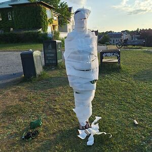 charlottehukvari avatar