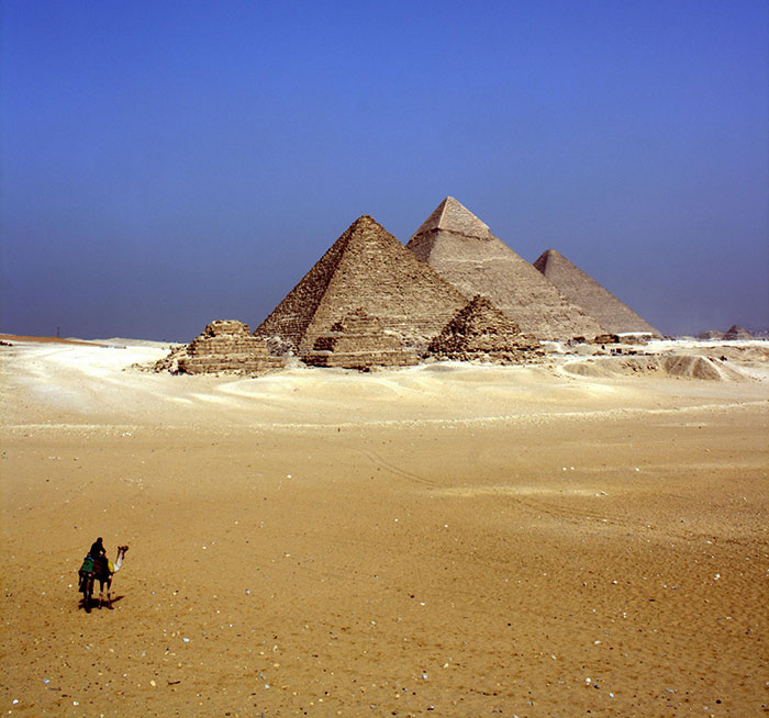 30 Interesting Facts To Intrigue The Ever-Curious