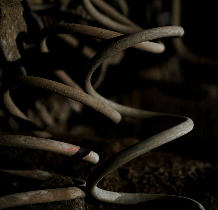 30 Interesting Facts To Intrigue The Ever-Curious