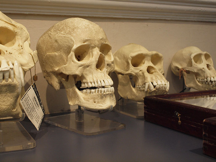 30 Interesting Facts To Intrigue The Ever-Curious