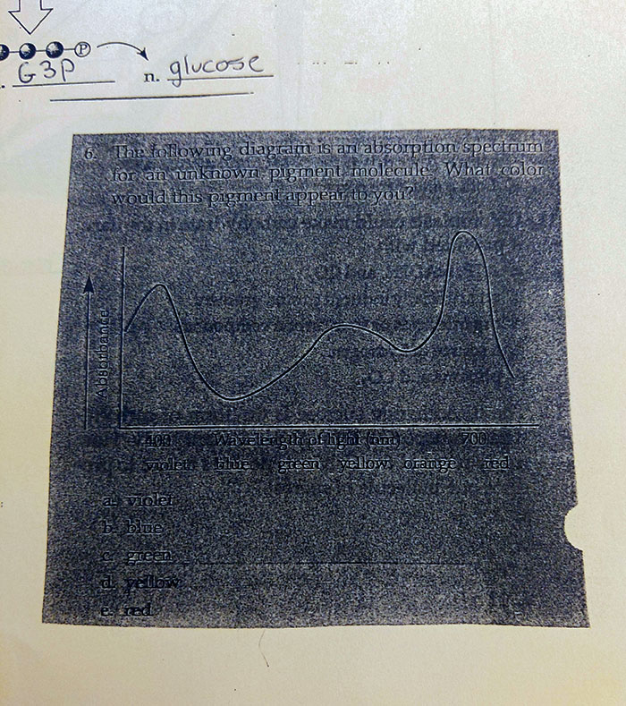 When Teachers Give Diagrams Like This