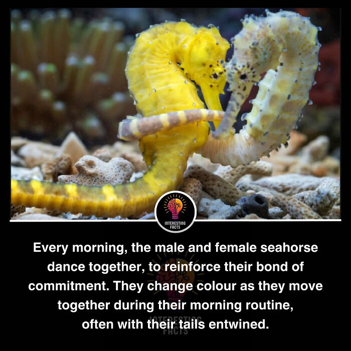 Interesting-Facts-Random