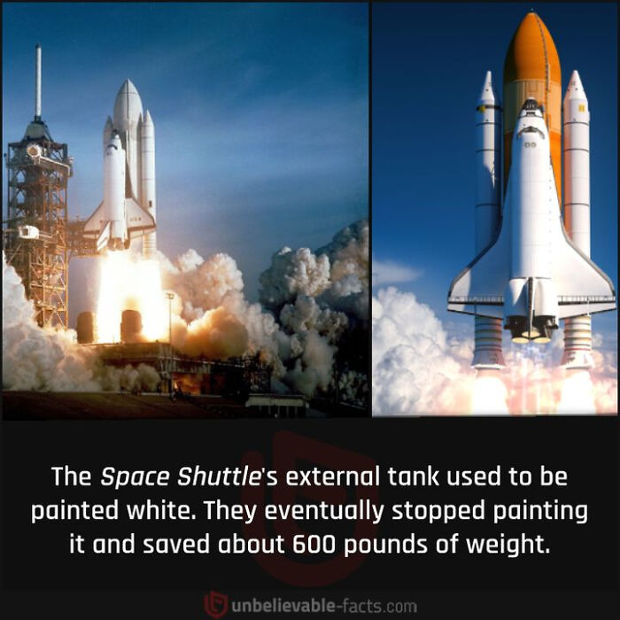 Interesting-Facts-Random