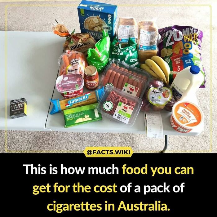 Interesting-Facts-Random