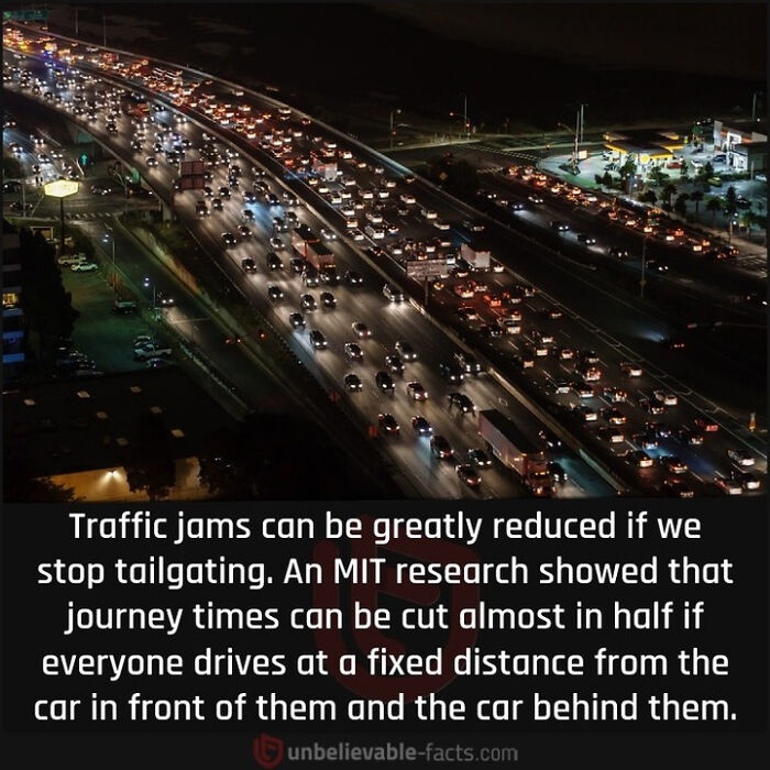 Interesting-Facts-Random