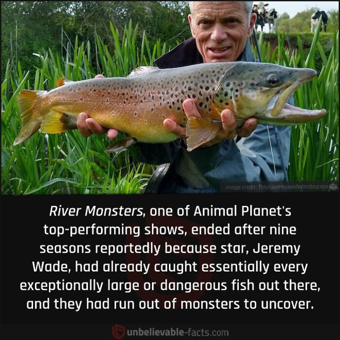 Interesting-Facts-Random