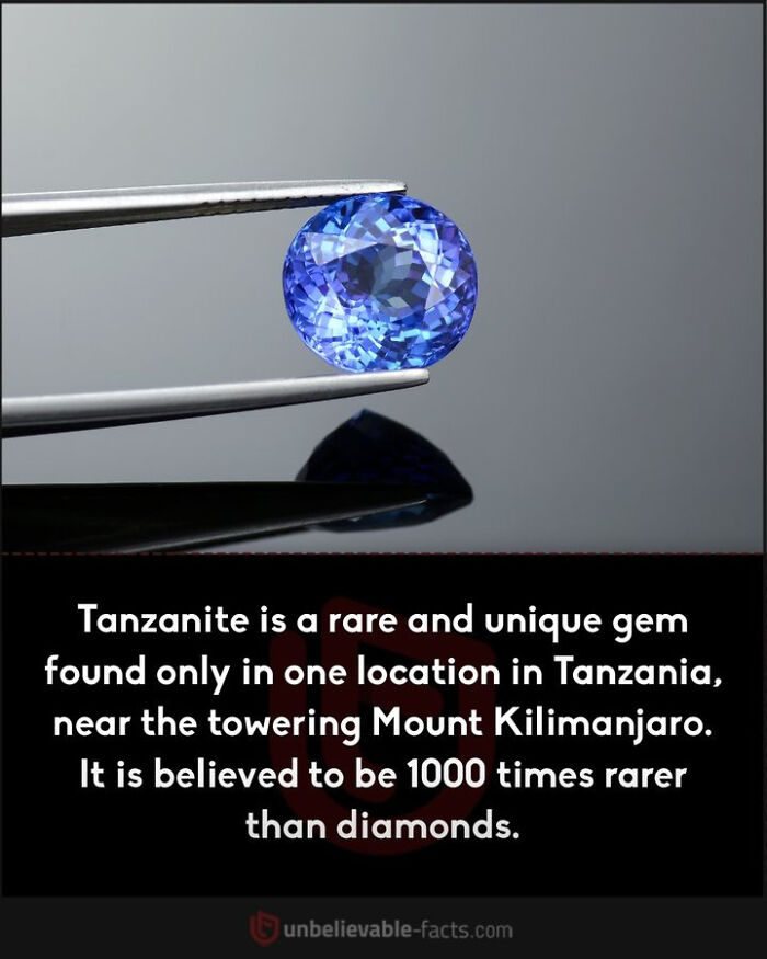 Interesting-Facts-Random